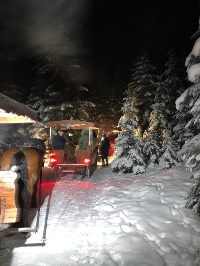 De Jutter Edelweiss Apartman Gosau Kültér fotó